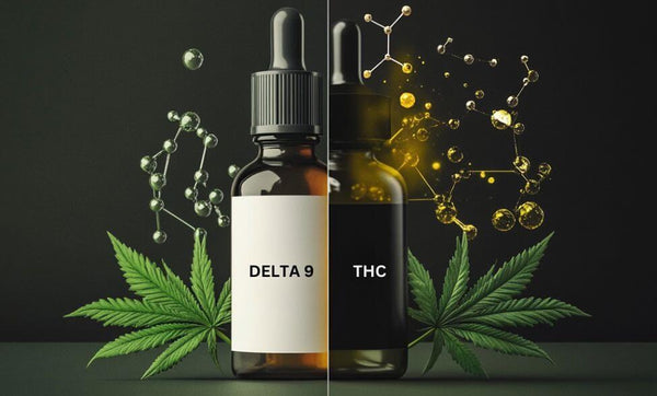 Delta 9 THC vs THC