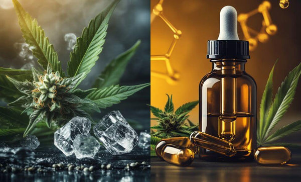 THCA vs CBD