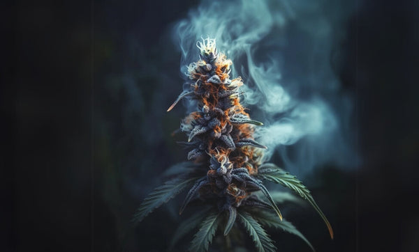 Does THCA Turn into Delta 9 When Smoked