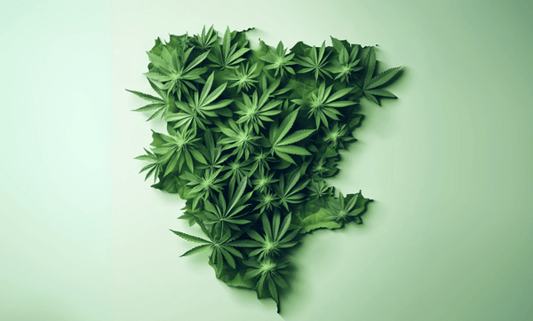 Is THCA Legal in Wisconsin