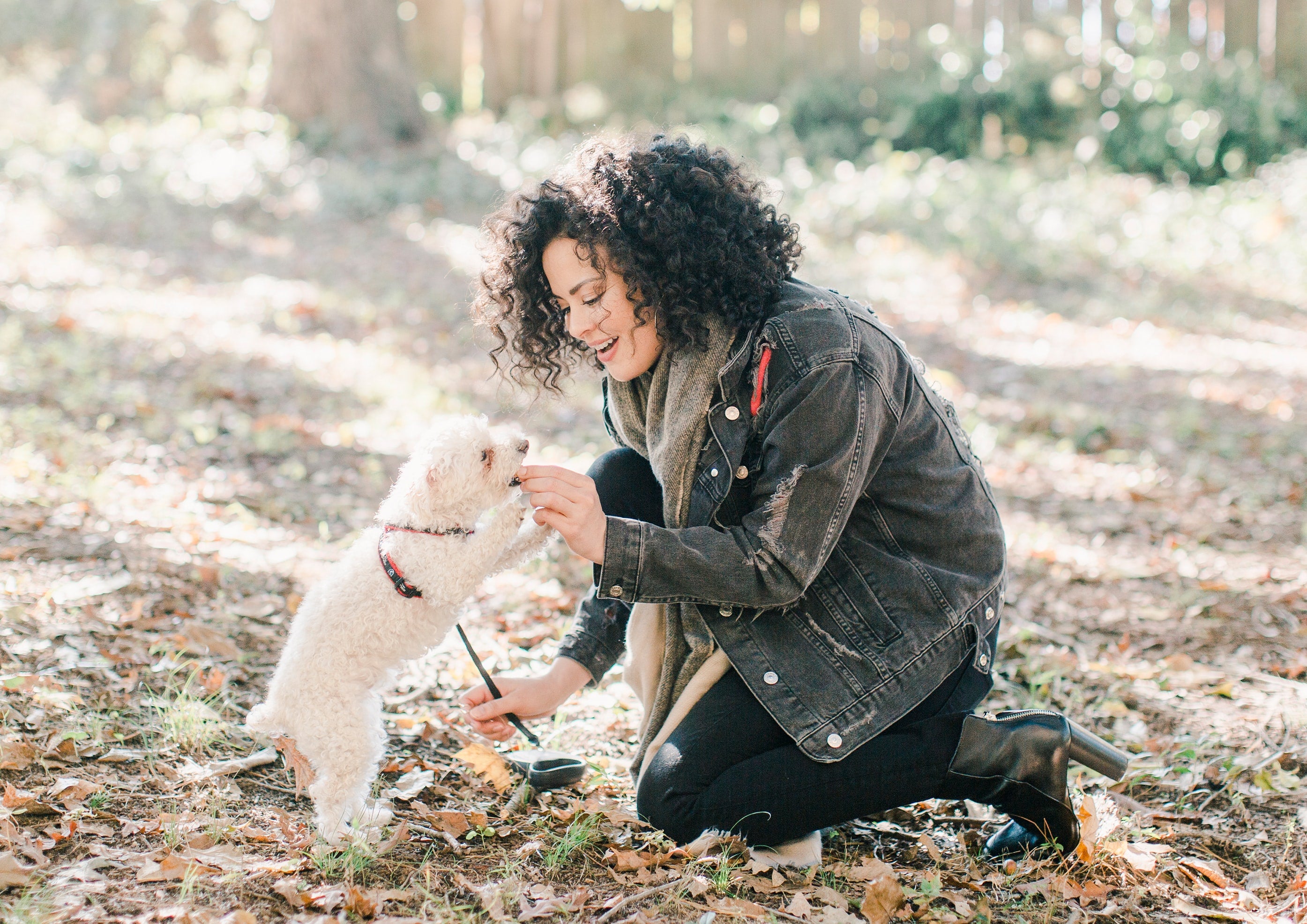 CBD for Dogs – Does It Work?