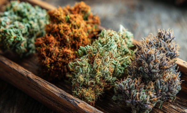 Delta 8 Strains