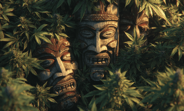 Is Delta 8 Legal in Hawaii