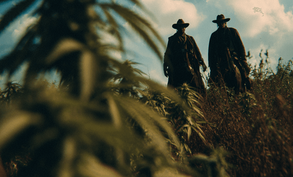 Are THC Gummies Legal in Texas